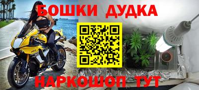 PSILOCYBIN Северобайкальск