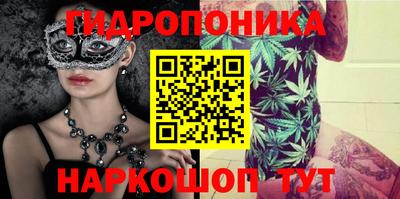 PSILOCYBIN Северобайкальск