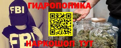 PSILOCYBIN Северобайкальск