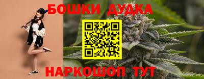 PSILOCYBIN Северобайкальск