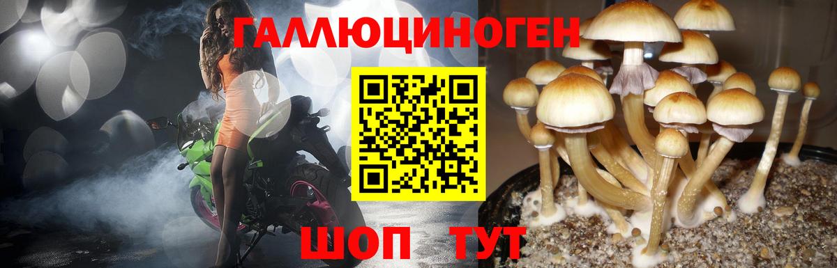 Галлюциногенные грибы мицелий  Вход с VPN  закладки  Похвистнево 