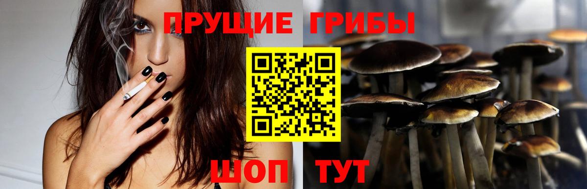Псилоцибиновые грибы ЛСД Похвистнево